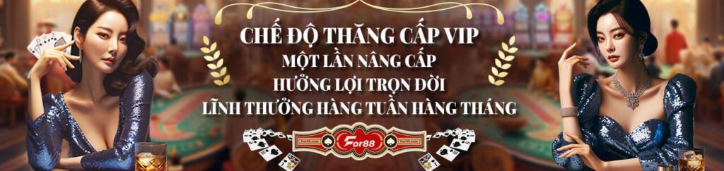 Chế độ thăng cấp vip